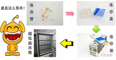樣本凍存解決方案之凍存架、凍存盒、凍存管