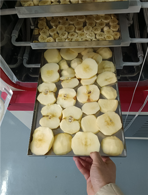 永合創(chuàng)信實驗室凍干機應用于食品凍干科研開發(fā)!