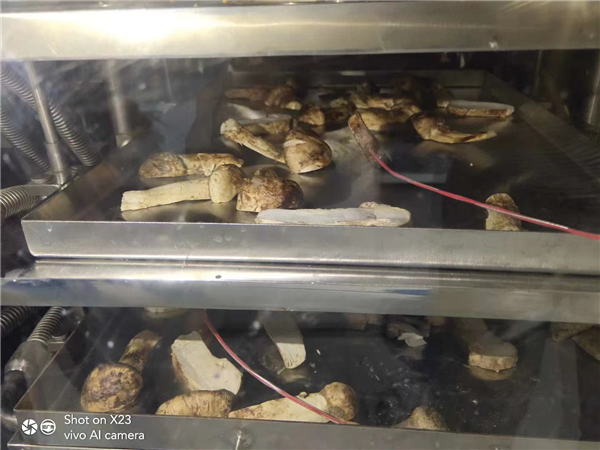 分享影響低溫冷凍干燥機排氣溫度的幾個關(guān)鍵因素