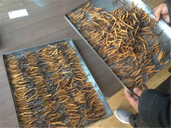 制藥凍干機(jī)中的加熱系統(tǒng)的作用是什么？