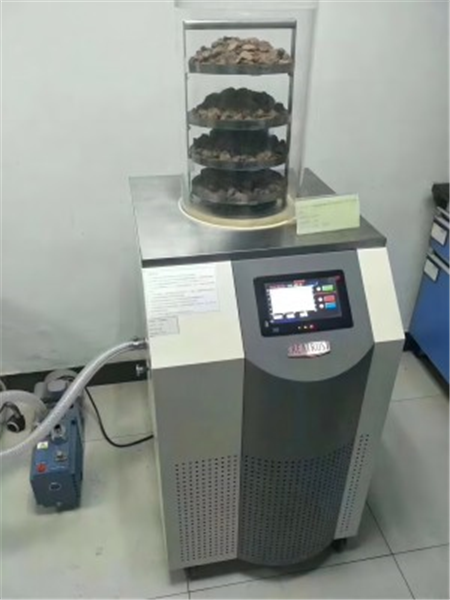 利用實驗室冷凍干燥機進行批量樣品處理的策略