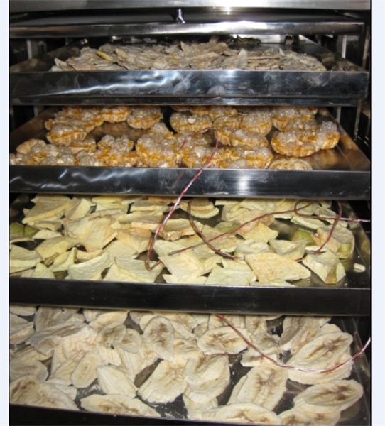 冷凍干燥機(jī)在食品凍干加工中需要注意哪些細(xì)節(jié)？