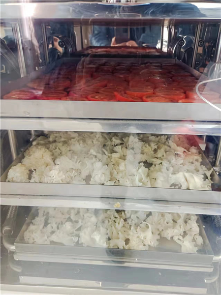 如何使用冷凍干燥機能延長其使用壽命？